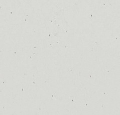 Линолеум Forbo Sphera Energetic 50226 mirror фото 1 | FLOORDEALER